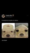 babynympho_archive Altpins Profile Picture