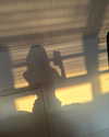 777pb_ Altpins Profile Picture