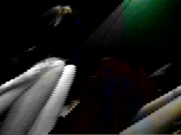 xombunni image ~ Altpins