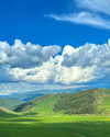 ll.lu1s Altpins Profile Picture