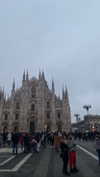 federica.piccinni Altpins Profile Picture
