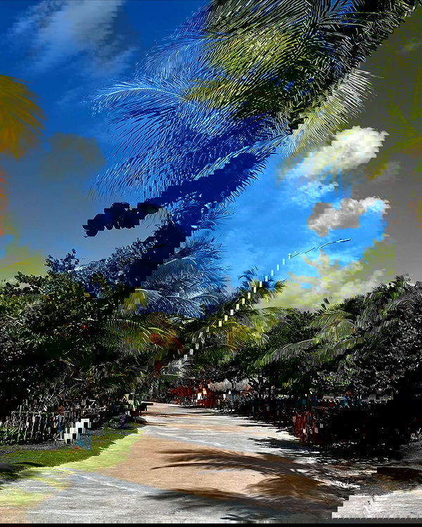 manjolamuriqi manjolamuriqi archive image