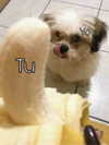 shakii.0509ll Altpins Profile Picture
