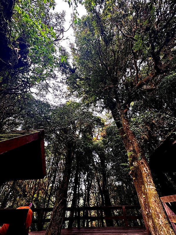 gloriastonelake instagram image archive image
