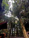 gloriastonelake Altpins Profile Picture