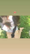 miumiustargirl Altpins Profile Picture