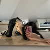 aleksaoaa Altpins Profile Picture