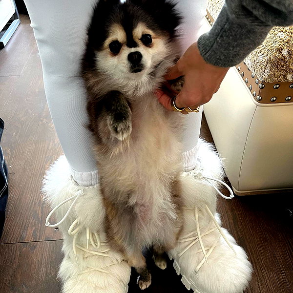 sssniperwolf instagram image archive image