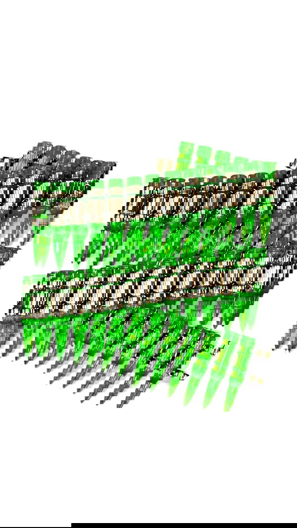 zommmbri zommmbri archive image