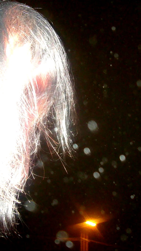 forestowwwl instagram image archive image