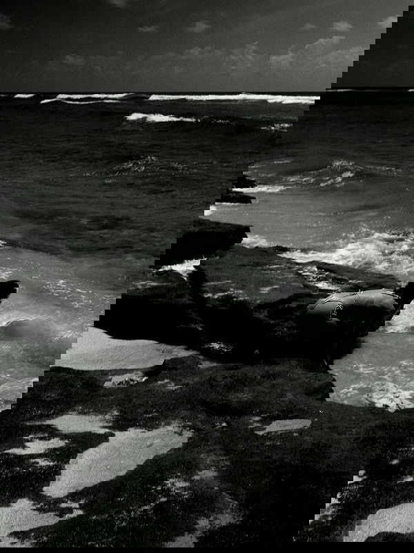 taylor.creeden taylor.creeden archive image