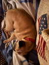 ninastodden Altpins Profile Picture