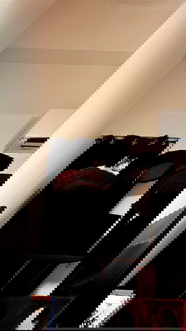 mosssaico mosssaico archive image