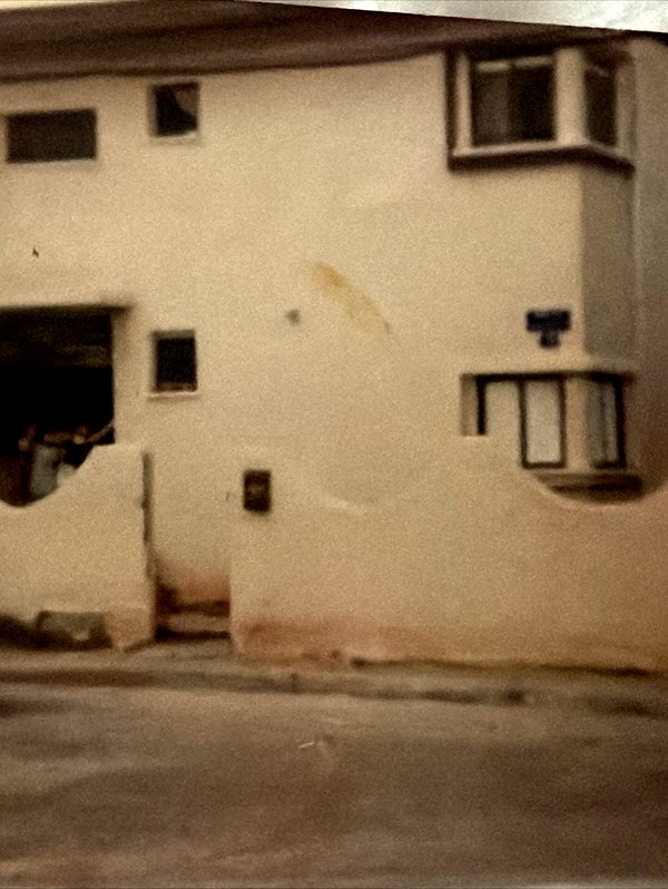 maori_cohen instagram image archive image