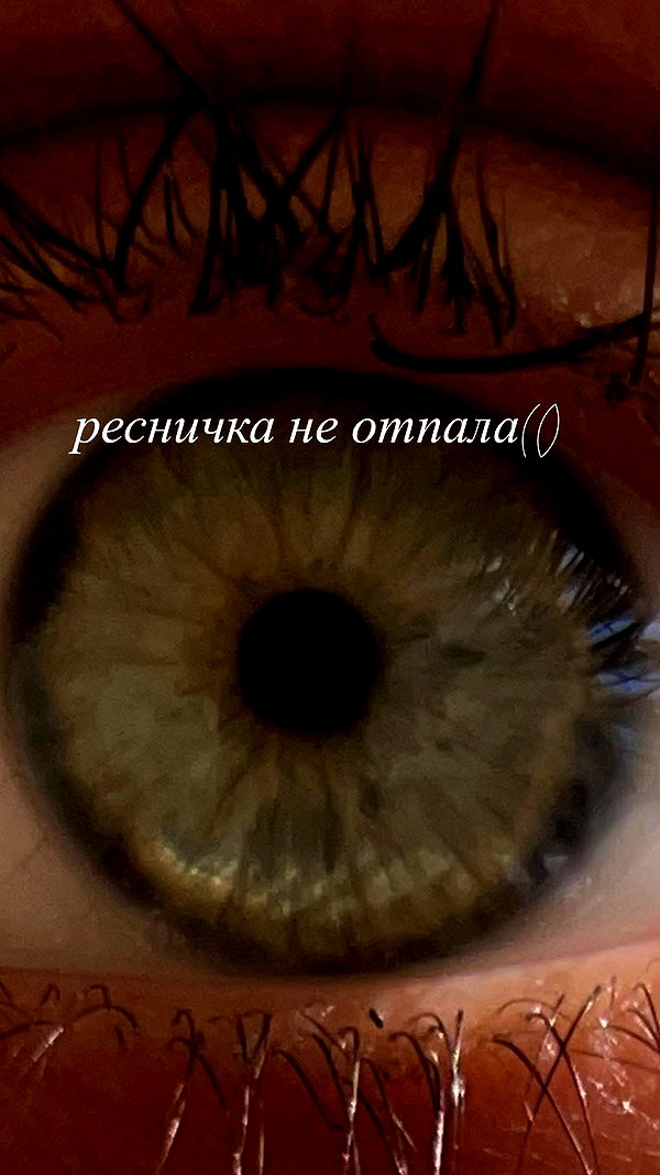 stea0diness instagram image archive image