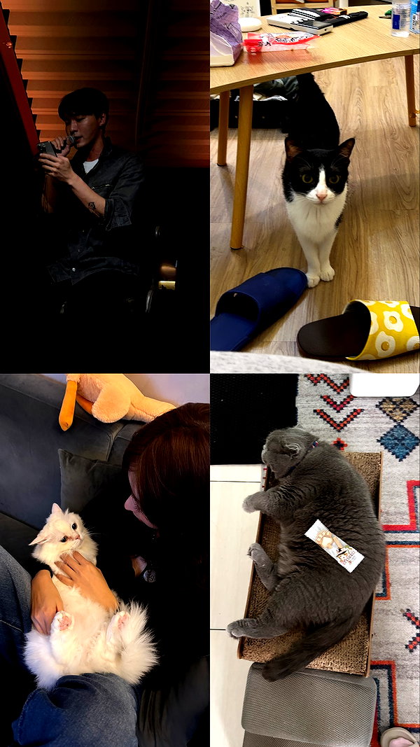 badthingalwaysg instagram image archive image