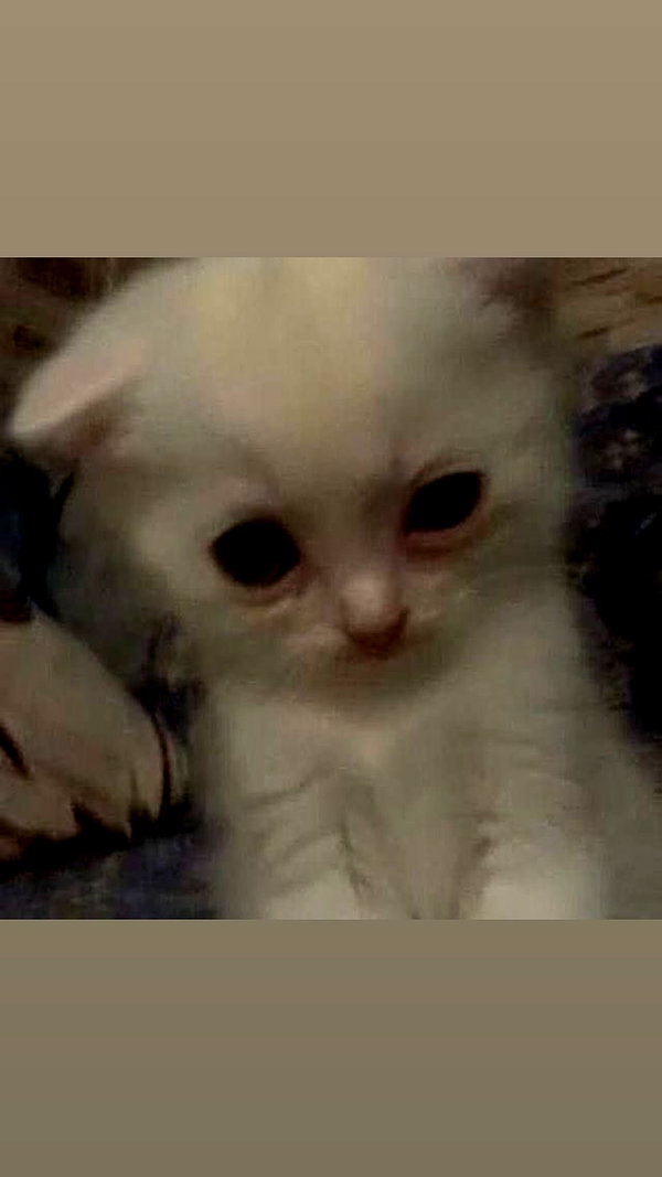 imnotsevven instagram image archive image