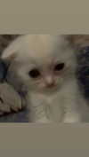 imnotsevven Altpins Profile Picture