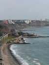 solzarubin_ Altpins Profile Picture