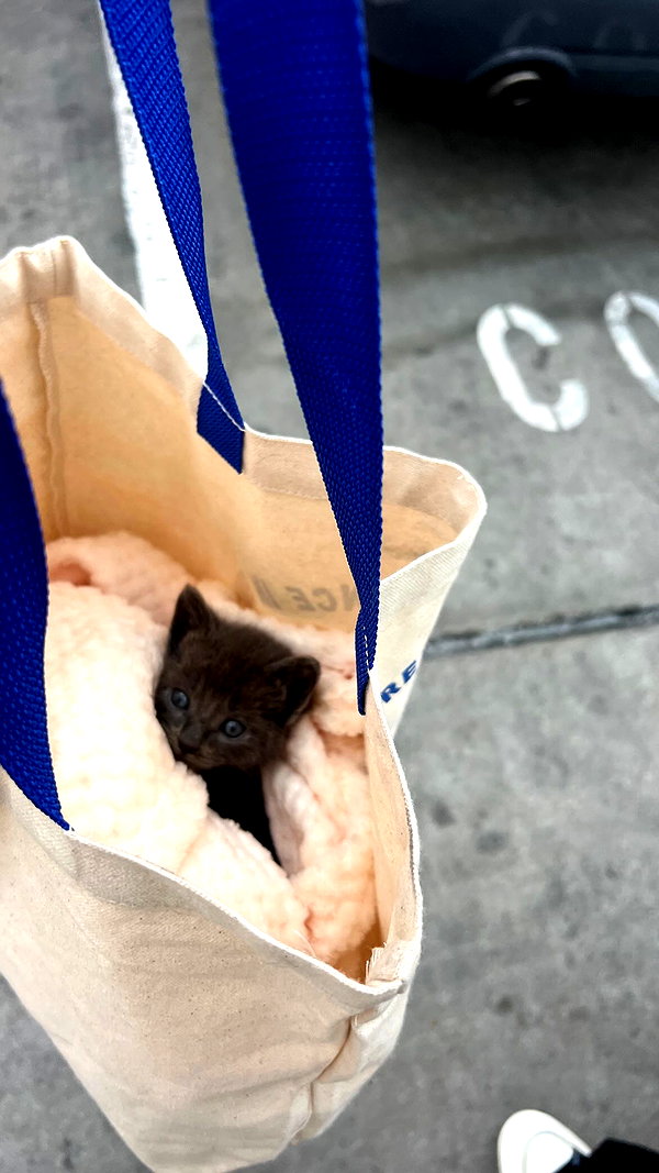 Archived image from @crystalcarti on Instagram