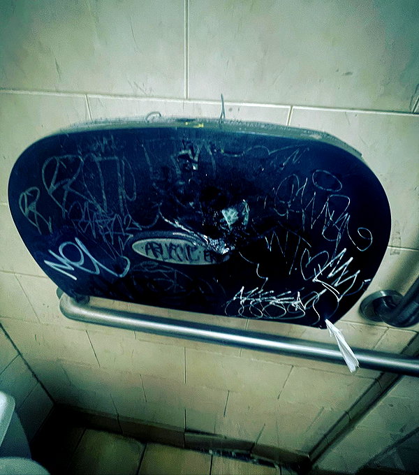 bugz4brainz instagram image archive image