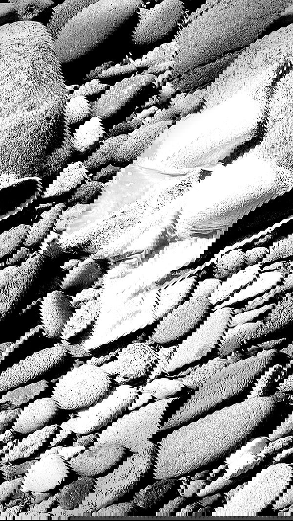 taylor.creeden taylor.creeden archive image