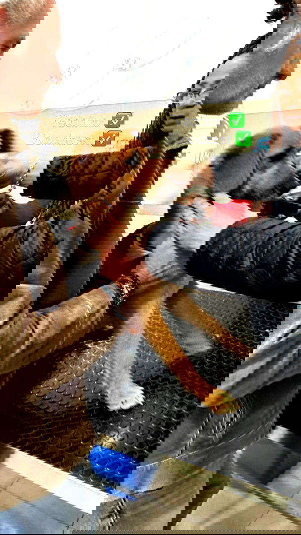 manjolamuriqi manjolamuriqi archive image