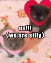 milkiwifey Altpins Profile Picture