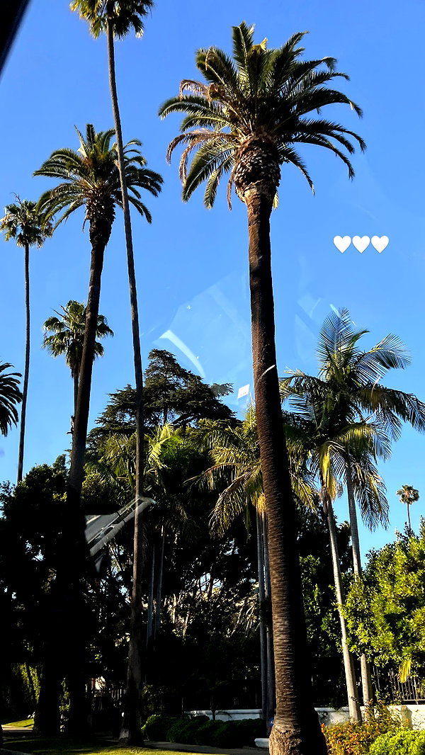 sophiebatzloff instagram image archive image