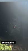 butter.on.a.poptart69 Altpins Profile Picture