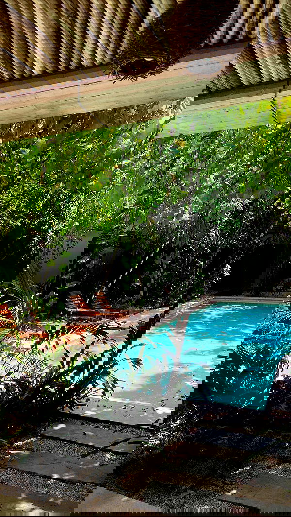 manjolamuriqi manjolamuriqi archive image