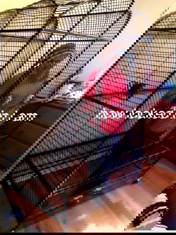 kitty.elliss kitty.elliss archive image