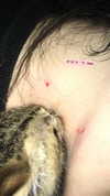 evasela__ Altpins Profile Picture
