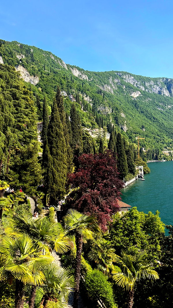 shirelokavi instagram image archive image