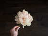 alexxndrraa Altpins Profile Picture