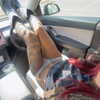 suik0muu Altpins Profile Picture