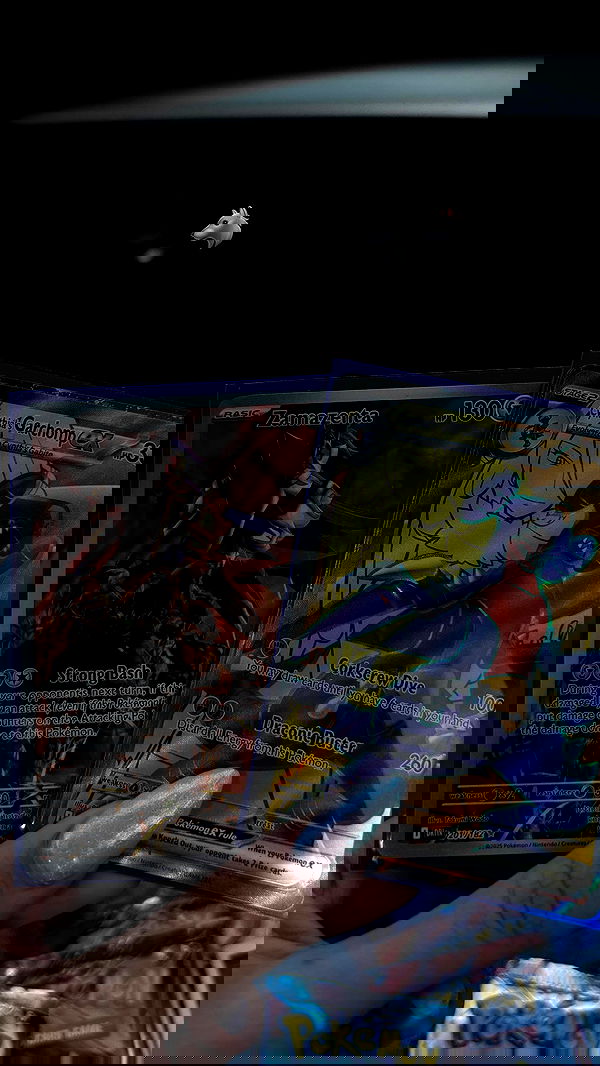 mosssaico mosssaico archive image