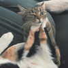 nishymoon_ Altpins Profile Picture