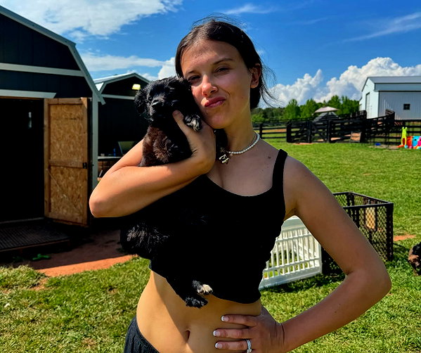 milliebobbybrown instagram image archive image