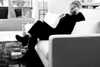adele Altpins Profile Picture
