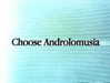 4ndrolomusia Altpins Profile Picture