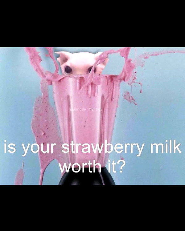 leanbeefpatty instagram image archive image