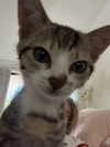 gabbyepstein Altpins Profile Picture