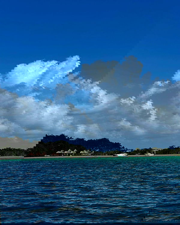 manjolamuriqi manjolamuriqi archive image