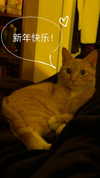 rachelchaleff Altpins Profile Picture
