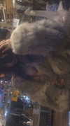 zommmbri Altpins Profile Picture
