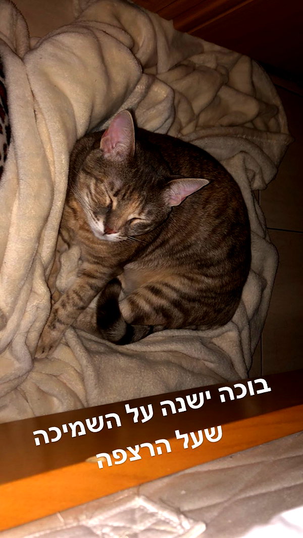 Archived image from @notchicore on Instagram