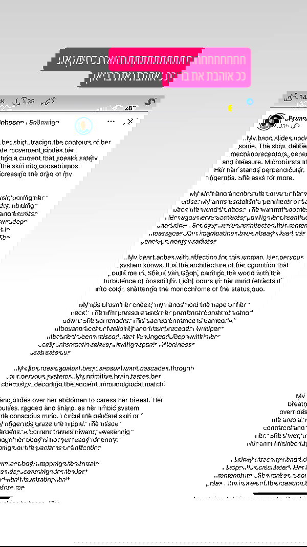 iambohema.v2 iambohema.v2 archive image