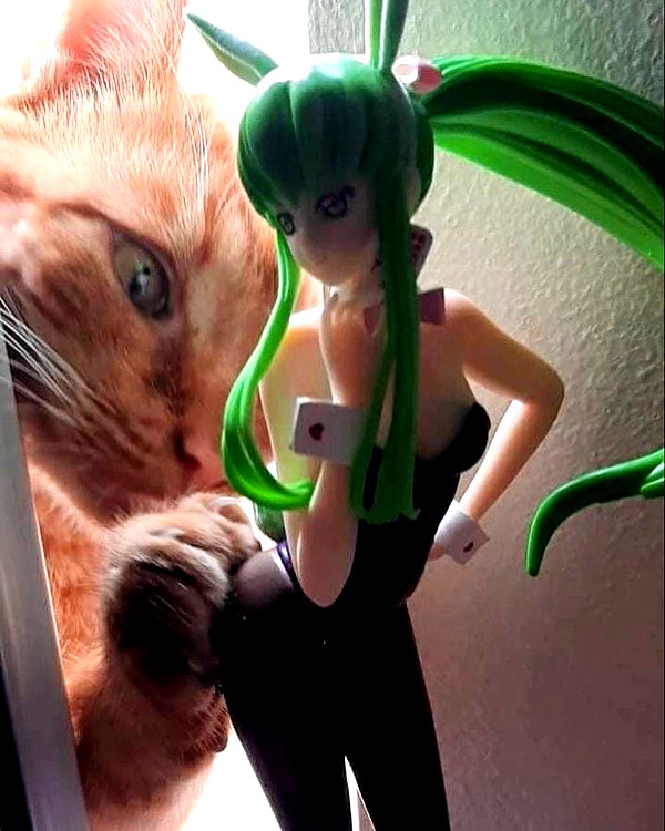 milkiwifey instagram image archive image