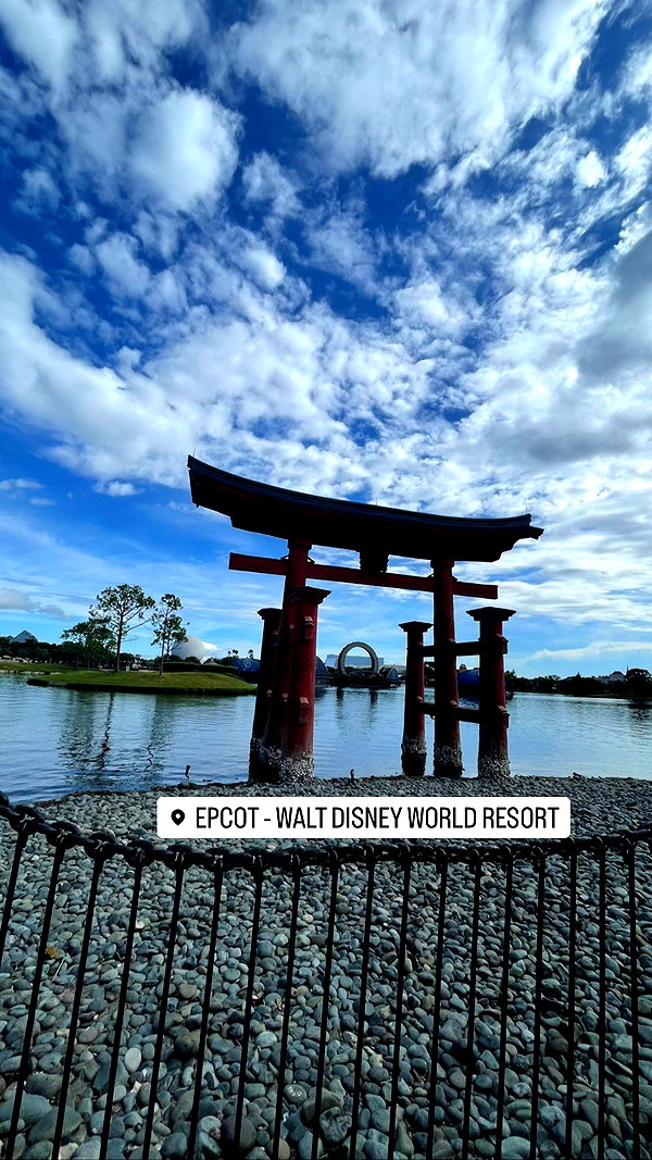 dais.222 instagram image archive image